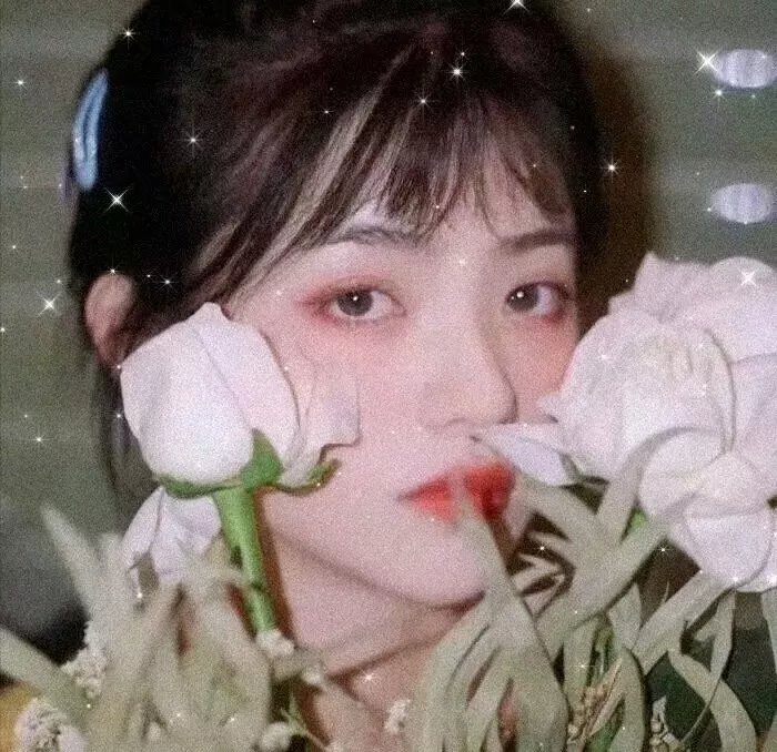 战地女护士